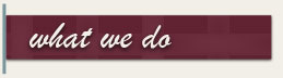 what we do